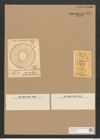 Campylodiscus browneanus Grev. (de-Toni-Nr.: Genus 57, Species 2472) Zeichnungen Sammlung Grunow Nr. 4973 (NHMW-BOT-W0373205)